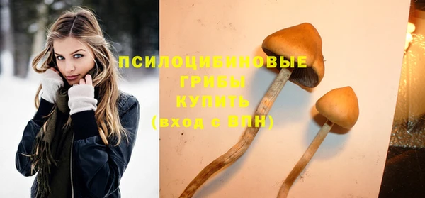 бошки Вязники