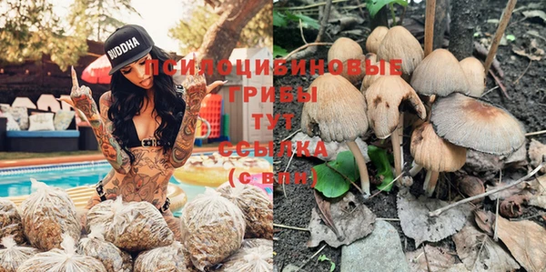 таблы Вяземский