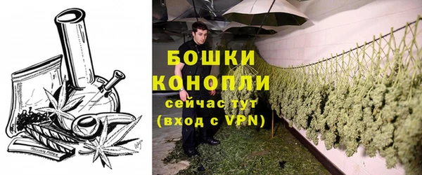 ГАЛЛЮЦИНОГЕННЫЕ ГРИБЫ Волосово